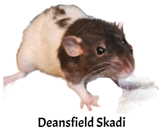 DeansfieldSkadi.png